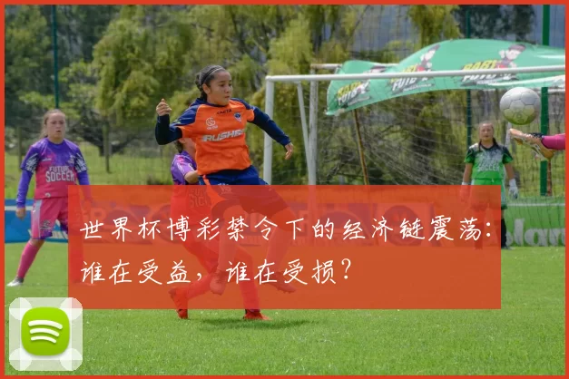 世界杯博彩禁令下的经济链震荡:谁在受益,谁在受损?