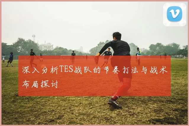 深入分析TES战队的节奏打法与战术布局探讨