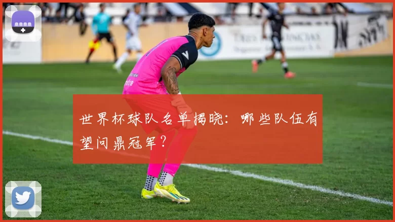 世界杯球队名单揭晓:哪些队伍有望问鼎冠军?