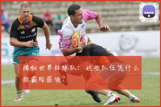 揭秘世界杯球队:这些队伍凭什么称霸绿茵场?