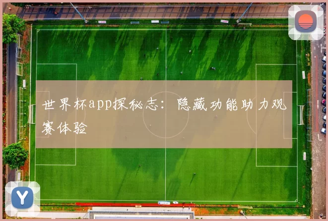 世界杯app探秘志:隐藏功能助力观赛体验