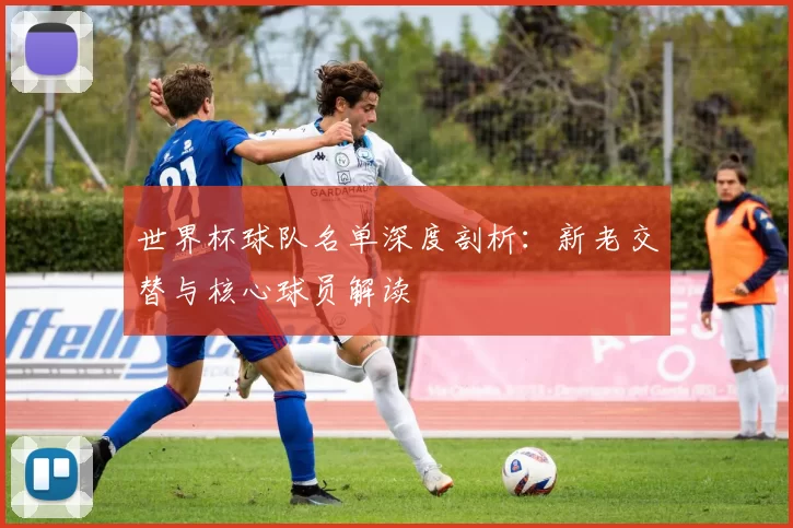 世界杯球队名单深度剖析:新老交替与核心球员解读
