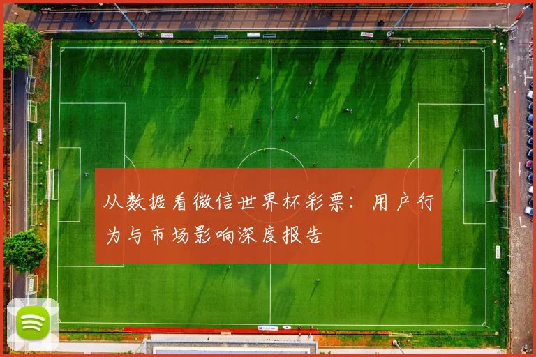从数据看微信世界杯彩票:用户行为与市场影响深度报告