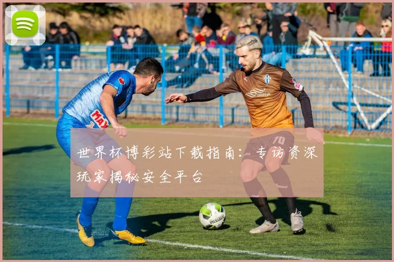 世界杯博彩站下载指南:专访资深玩家揭秘安全平台