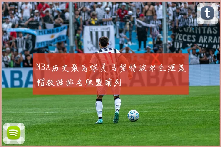 NBA历史最高球员马努特波尔生涯盖帽数据排名联盟前列