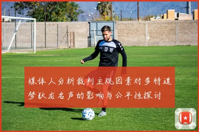 媒体人分析裁判主观因素对多特追梦狄龙名声的影响与公平性探讨