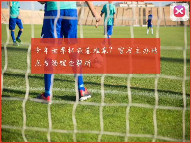 今年世界杯花落谁家？官方主办地点与场馆全解析