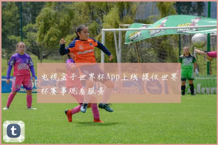 电视盒子世界杯App上线 提供世界杯赛事观看服务