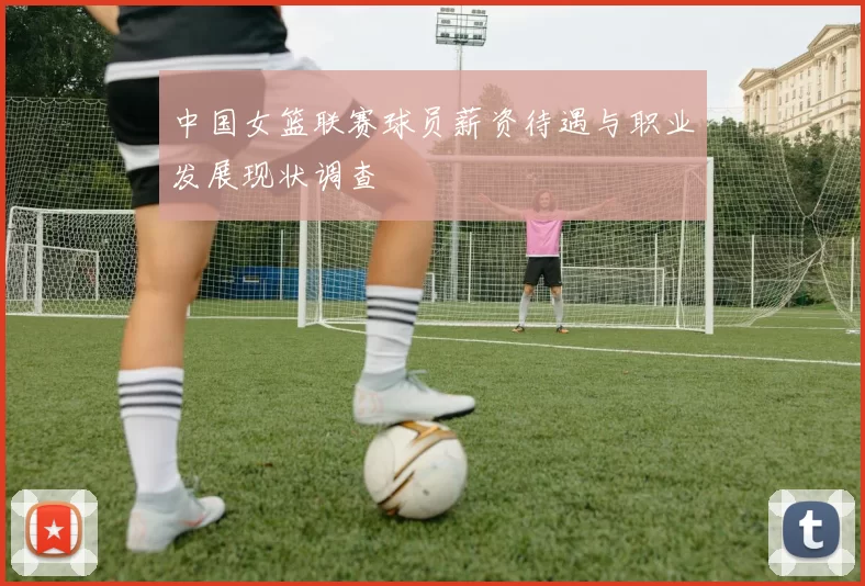 中国女篮联赛球员薪资待遇与职业发展现状调查