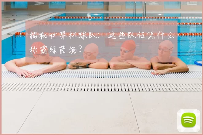 揭秘世界杯球队:这些队伍凭什么称霸绿茵场?