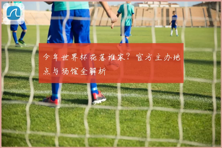 今年世界杯花落谁家？官方主办地点与场馆全解析