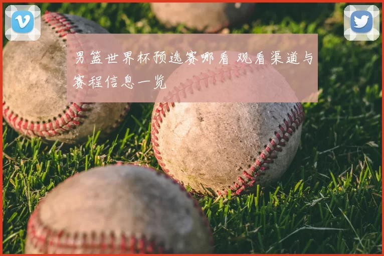 男篮世界杯预选赛哪看 观看渠道与赛程信息一览